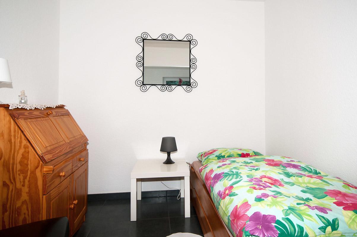 Landhotel Alte Muehle Modautal المظهر الخارجي الصورة